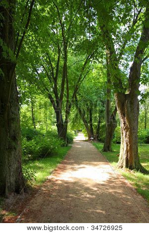 Kornik Arboretum - Polonia