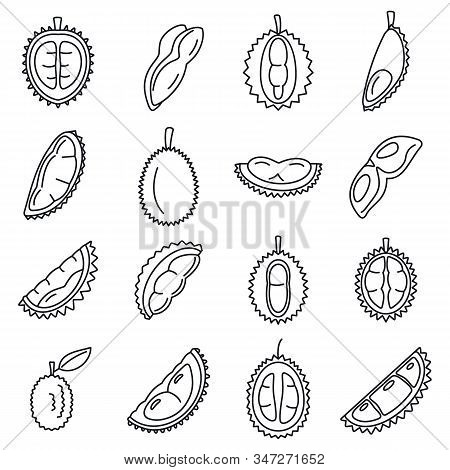 Durian Fruit Icons Set. Outline Set Of Durian Fruit Vector Icons For Web Design Isolated On White Ba