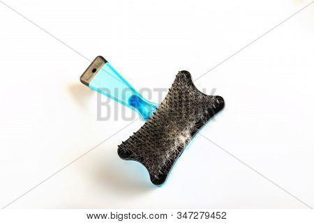 Hair Of Cat And Dog On Brush On White Background