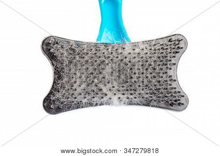 Close Up Fur Or Hair On Cat Comb On White Background