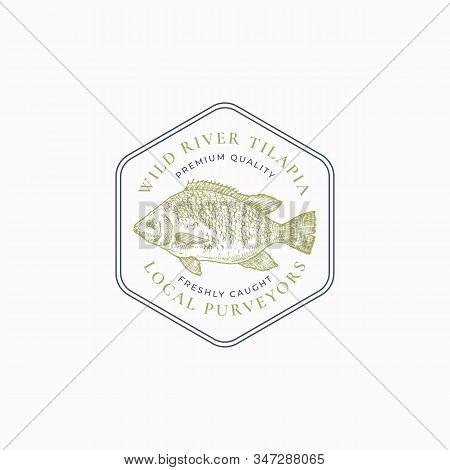 Fish Vintage Frame Badge Or Logo Template. Hand Drawn Wild Tilapia Sketch Emblem With Retro Typograp