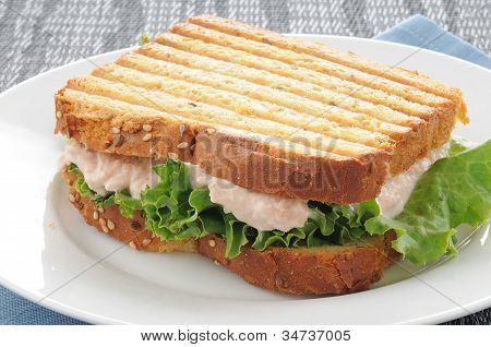 구운된 참치 샌드위치