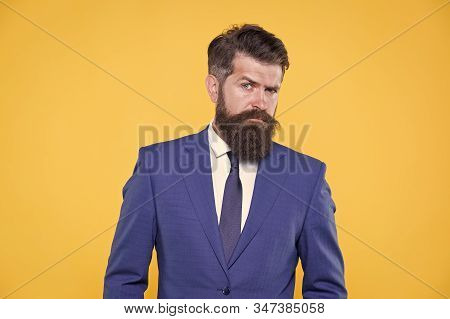 He Is Life Ganger. Serious Intentions. Businessman Formal Suit. Handsome Bearded Man Ceo. Successful