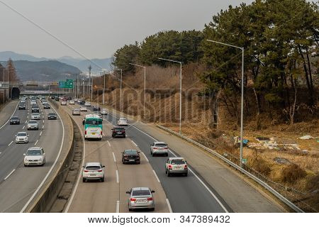 Lunar New Year Traffic