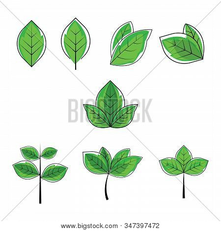 Green Leaf Shape Illustration Vector Design Can Use For Any Design Project