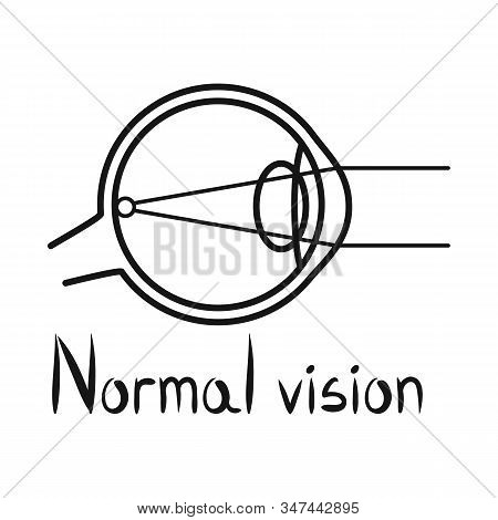 Vector Illustration Of Eyeball And Organ Sign. Web Element Of Eyeball And Eyesight Stock Symbol For 