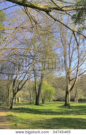 칼다 스 드 리스에 오크 숲