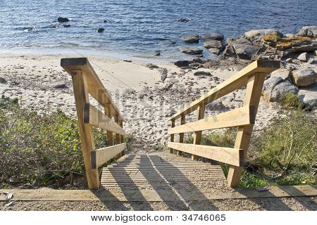 Lige fra havet