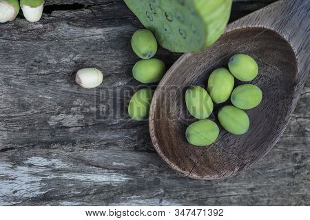 Lotus Seed Or Lotus Nut. The Traditional Chinese And Indian Medicine. Good For Healty And Can Eat Bo