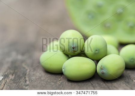 Lotus Seed Or Lotus Nut. The Traditional Chinese And Indian Medicine. Good For Healty And Can Eat Bo