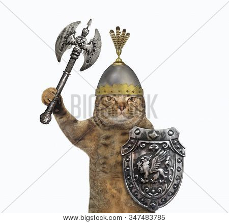 The Beige Cat Viking In A Helmet With Feathers Is Armed With A Shield With A Dragon And A Double Hea