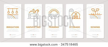 Farming Realted Vertical Cards. Mobile App Onboarding Screens Templates For A Website. Icons With Ed