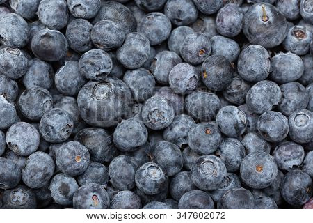 Fresh Blueberries Fruit Background. Cuisine Backdrop. Cyanococcus