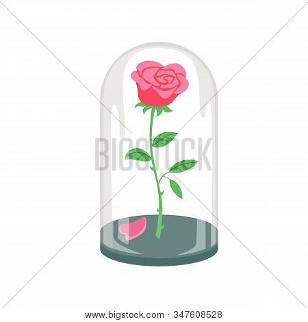 Rose In A Flask Of Glass On The White Background. Vector Illustration.