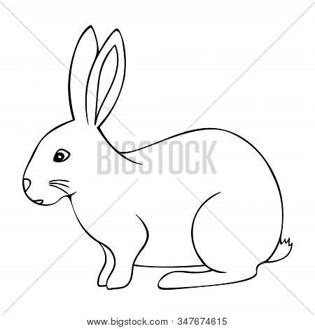 Easter Bunny. Vector Stock Illustration On An Isolated Background. Coloring Book For Children And Ad