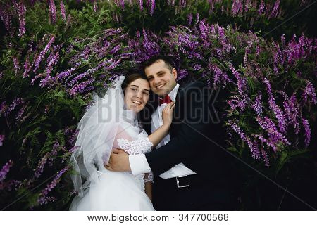 Couple At Sunset In A Wedding Dress Lie On The Grass With Lipin Flowers,festive Spring Wedding Photo