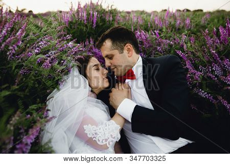 Couple At Sunset In A Wedding Dress Lie On The Grass With Lipin Flowers,festive Spring Wedding Photo