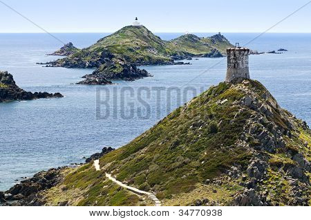 Isola di sanguinarie