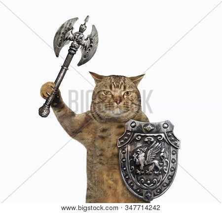 The Beige Cat Viking Is Armed With A Shield With A Dragon And A Double Headed Battle Axe. White Back