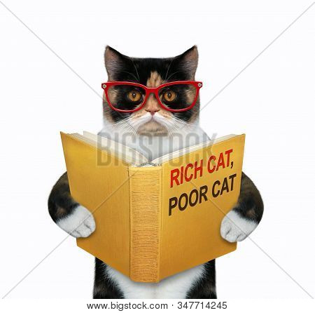 The Multi Colored Pussycat In Glasses Is Reading A Book Called Rich Cat, Poor Cat. White Background.