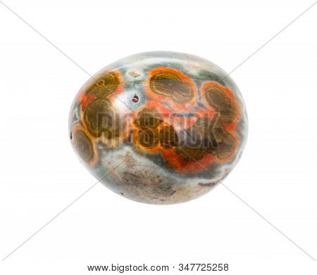 Closeup Of Sample Of Natural Mineral From Geological Collection - Orbicular Jasper Gem Stone Isolate
