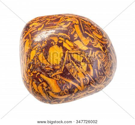 Closeup Of Sample Of Natural Mineral From Geological Collection - Polished Miriam Jasper Gemstone Is