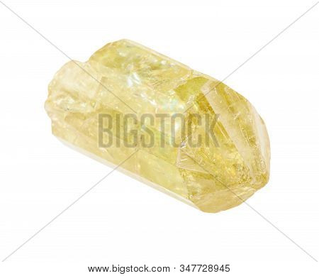 Closeup Of Sample Of Natural Mineral From Geological Collection - Single Yellow Crystal Of Apatite I