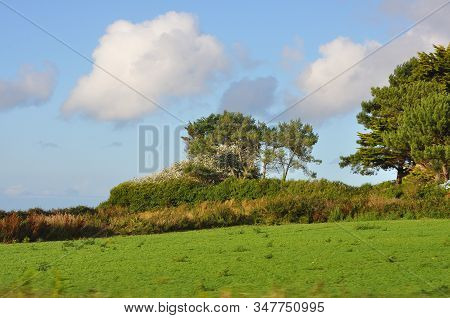 Discovery Of The Coasts Of Brittany, Talbert Furrow