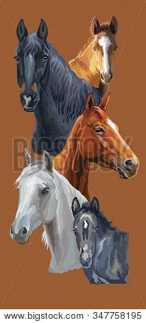 Vertical Postcard With Horses. Colorful Vector Realistic Portraits Of Horses. Group Of Horses Isolat
