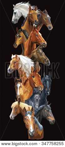 Vertical Postcard With Horses. Colorful Vector Realistic Portraits Of Horses. Big Group Of Horses Is
