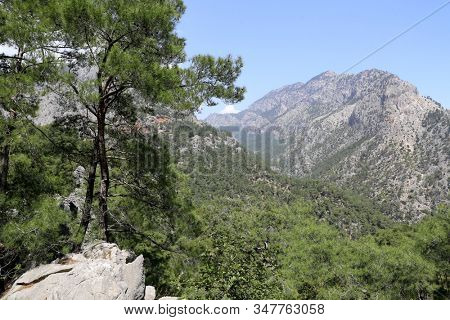 Green pines and mountains. Landscape in turkish mountrains, Likya Yolu