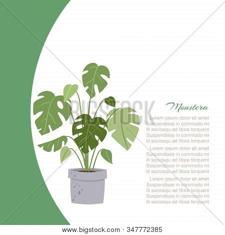 Monstera Home Plant, Tree In Pot Vector Illustration Poster With Text Space. Interior Home Greenery 