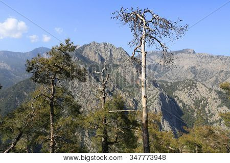 Nice mountain landscape in Turkey, Famous Likya Yolu tourist trail in mountains.