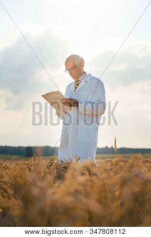 Agricultural scientist tracking data for new breed of grain on a clipboard