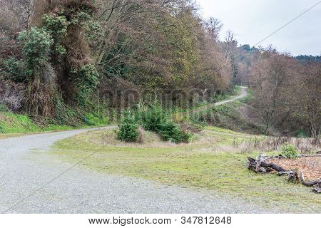 A Park On Maury Island In Washington State.
