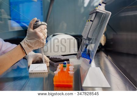 Scientist Puts Samples Of Of Dna Fragments For Electrophoresis Using Pipette