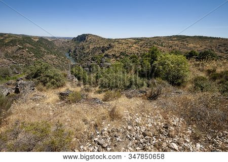 Peredo Da Bemposta Viewpoint With A Most Breathtaking View Of The Douro River. Is Set Right In The P