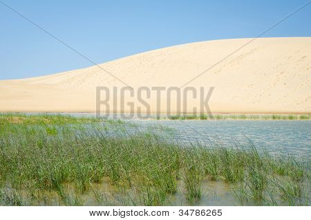 Dunas en el Parque Estatal de Jockey Ridge
