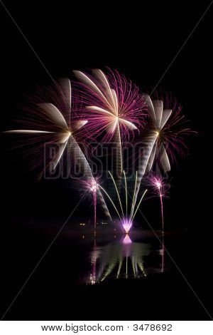 Globalfest