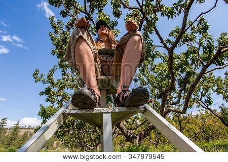 Low Angle View Of A Caucasian Woman Resting Up On A Ladder, Under Peach Tree Branches During A Visit