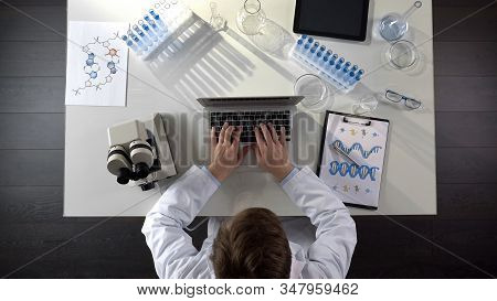 Genetics Scientist Conducting Medical Studies Of Dna, Typing On Laptop, Top View