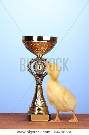 푸른 배경에 나무 테이블에 오리와 챔피언 컵
