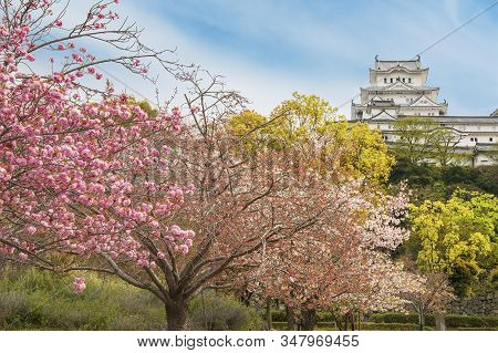 Himeji Castle In Japan In Springtime Season