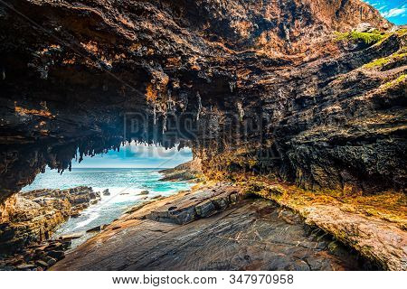 Admirals Arch Lookout With Sleeping Sea Lions, Kangaroo Island, South Australia