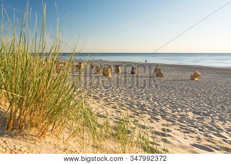 Beach Grass Next To A Beautiful Beach In Northern Germany (sylt) At Sunset