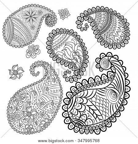 Five Unique Paisley Elements In The Style Of Contour Graphics, Contours Without Shading, Objects On 