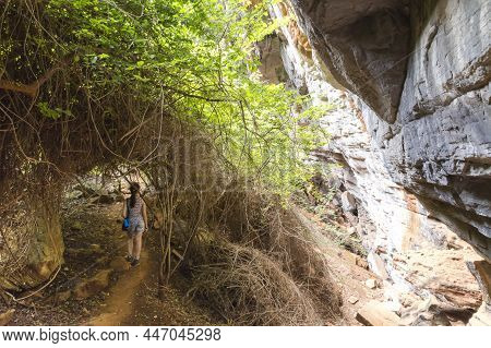 The Tour Through Gruta Lapa Doce (sweet Rock Cave) Follows The Huge Main Passage For 800 M And Leave