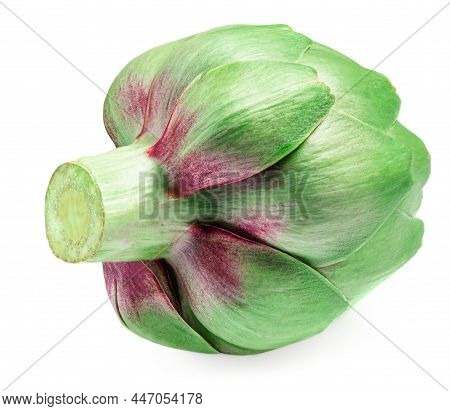 Fresh Artichoke Isolated On White Background. Raw Artichok  Closeup