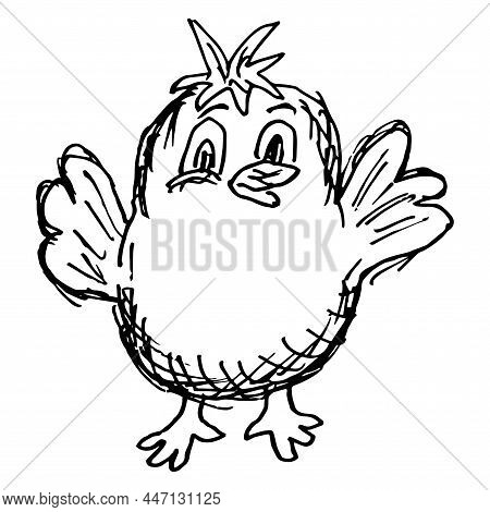 A Friendly Little Chick Raised His Wings Up. Rough Black And White Freehand Line Vector Drawing, Iso