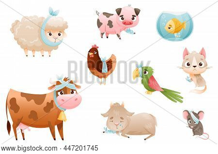 Sick Baby Animals Set. Sad Bandaged Cow, Goatling, Hen, Glass, Parrot, Fish Cartoon Vector Illustrat